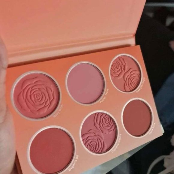 blush palette - Picture 1 of 1